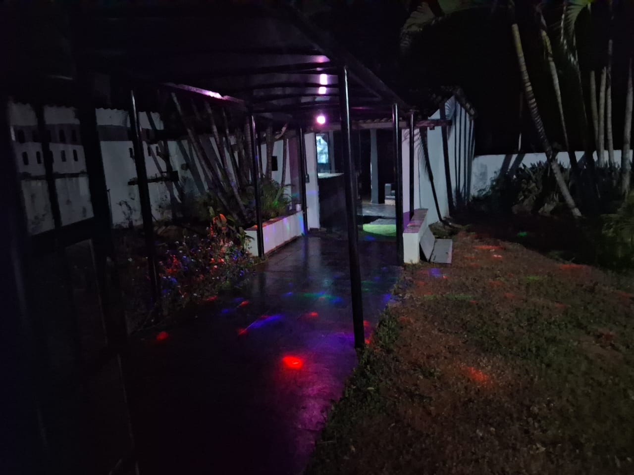 Jardim