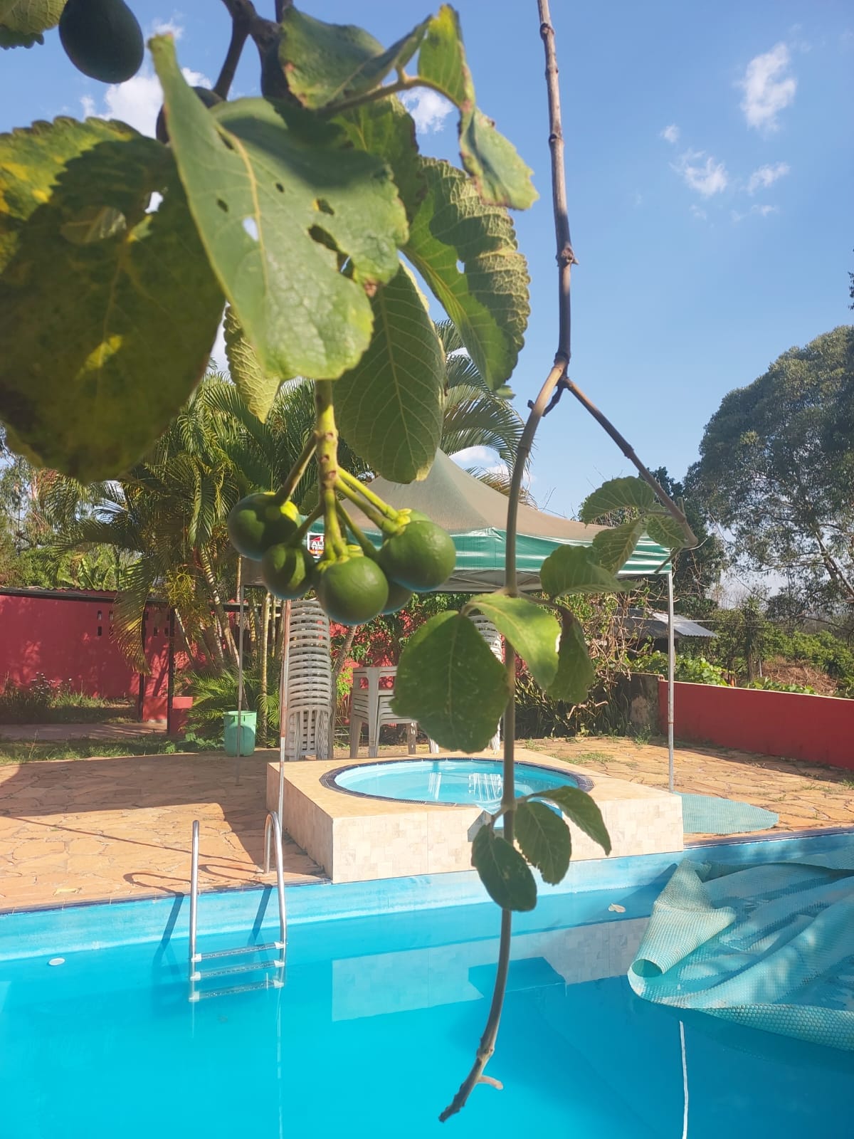 paraisopequi